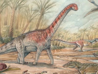 Penemuan Dinosaurus Chadititan Calvoi Ungkap Ekosistem Kering di Patagonia