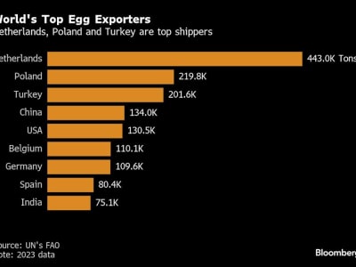 AS Kesulitan Cari Pasokan Telur karena Wabah Flu Burung dan Harga Melonjak