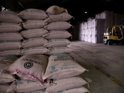 Harga Kopi Naik Tajam, Industri Kopi Global Terjebak Krisis Pasokan