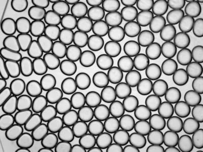 Nanodiamond dan Microfluidics: Deteksi Kimia Akurat dengan Quantum Sensing