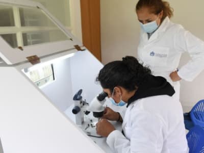 Kelompok Riset Kecil Bantu Peneliti Bertahan, Tapi Kelompok Besar Dorong Kesuksesan