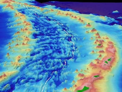 Ekspedisi Palung Mariana Ungkap Kehidupan Menakjubkan di Laut Dalam