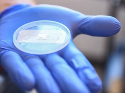 Struktur Nano Safir: Solusi Anti-Silau, Anti-Embun, dan Tahan Debu Masa Depan