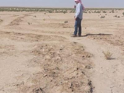 Penemuan Jaringan Kanal Irigasi Kuno di Eridu Ungkap Pertanian Mesopotamia