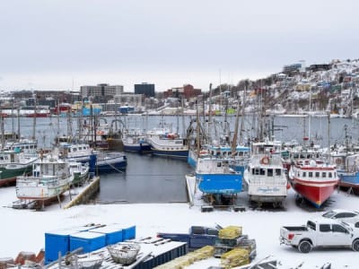 Kanada Luncurkan Dana CRp 82.22 triliun ($5 Miliar)  Bantu Eksportir Hadapi Tarif AS