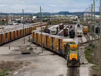 Trump Berencana Terapkan Tarif Timbal Balik Pada Kayu dan Susu Kanada