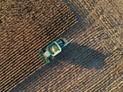 Perang Dagang AS-Kanada Picu Kenaikan Biaya Pupuk untuk Petani