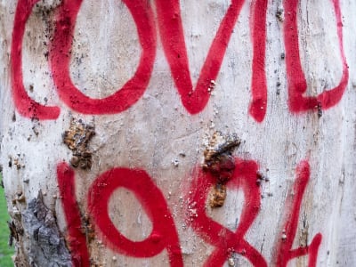 Kontroversi Covid-19: Teori Konspirasi dan Masa Depan Riset Kesehatan di AS