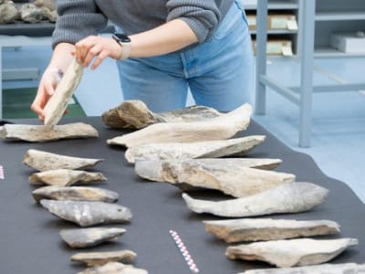 Alat Tulang Homo erectus Ditemukan Lebih Awal, 1,5 Juta Tahun Lalu di Tanzania