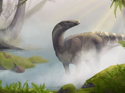 Penemuan Fosil Dinosaurus Jurassic Pertama dan Terlengkap di Skotlandia