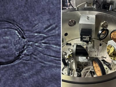 Ilmuwan Pertama Kali Foto Ketidakstabilan Plasma Langka yang Mengganggu Fusi Nuklir