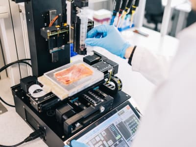 Printer 3D Makanan dengan Graphene dan AI, Cetak dan Masak Sekaligus Jadi Solusi Baru