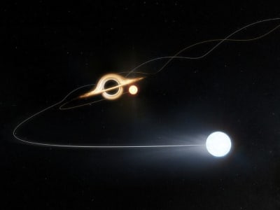 Penemuan Lubang Hitam Supermasif di Awan Magellan Besar yang Terdekat dengan Bima Sakti