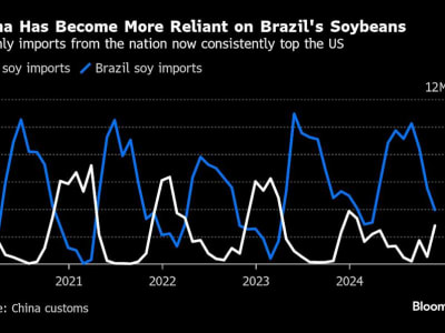China Terapkan Tarif Balasan pada Produk Pertanian AS, Perang Dagang Memanas