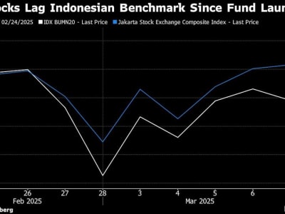 Investasi di Indonesia Tertekan oleh Pengaruh Politik Dana Kekayaan Negara Baru