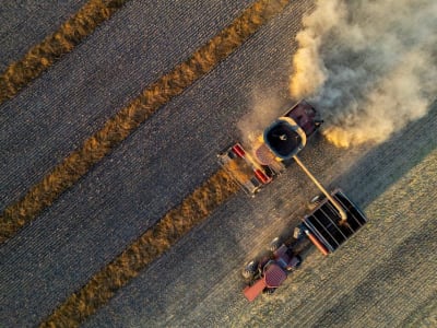 Tarif China Sebabkan Harga Canola Kanada Merosot Drastis