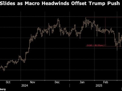 Harga Crypto Anjlok Meski Trump Umumkan Cadangan Bitcoin Pemerintah
