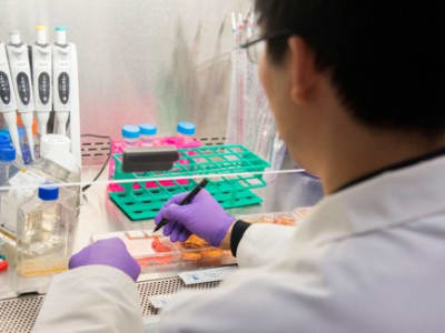 Pemotongan Dana NIH Bisa Hancurkan Riset Medis dan Inovasi di AS