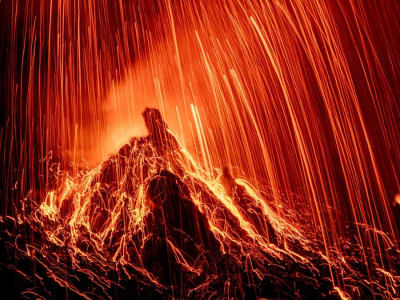 Dampak Kepunahan Permian-Trias: Pelajaran dari Perubahan Iklim Ekstrem