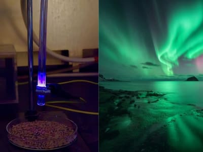 Inovasi Plasma Dingin: Solusi Ramah Lingkungan untuk Pertanian Masa Depan