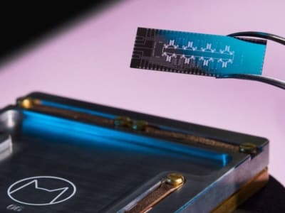 Inovasi Squeezing Cat Qubits, Tingkatkan Stabilitas Komputer Kuantum 160x