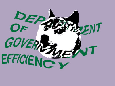 Pengadilan Perintahkan DOGE Elon Musk Buka Catatan Pemerintahan yang Tersembunyi