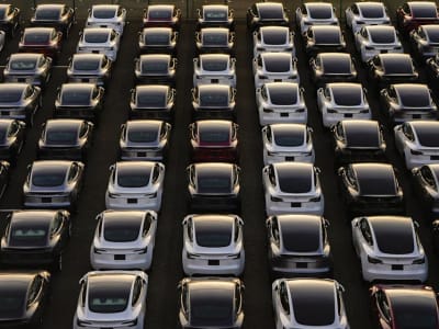 Trump Beli Tesla Dukung Elon Musk Saat Saham Perusahaan Turun Tajam