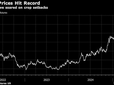 Ahli Cuaca Bergaji Besar: Peran Baru Mereka di Dunia Hedge Fund dan Komoditas
