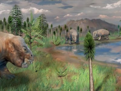 Penemuan Oase Kehidupan di Masa Kepunahan Massal Akhir-Permian di China