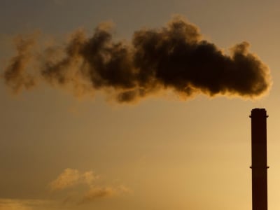 Aliansi Perbankan Dunia Pertimbangkan Pelonggaran Target Iklim Demi Kelangsungan Anggota