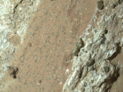 Jejak Mikroba Kuno Mars: Rover Perseverance Temukan Bercak 'Leopard Spots'