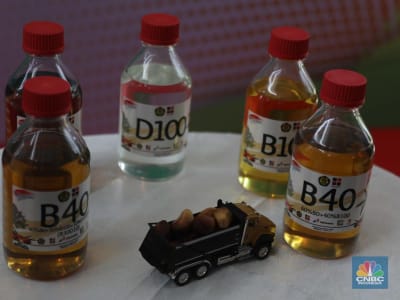 Pertamina Dorong Biofuel Jadi Solusi Efektif Kurangi Emisi dan Impor BBM