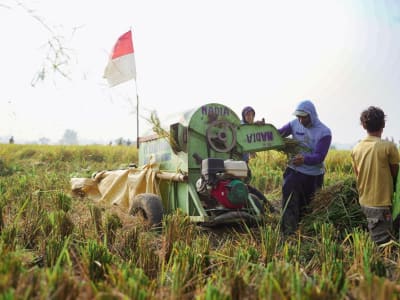 Bulog Diminta Segera Serap Gabah Petani Demi Ketahanan Pangan Maret 2025