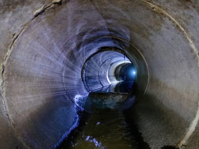 Inovasi Daur Ulang Lumpur Limbah Jadi Energi Hijau dan Pakan Hewan