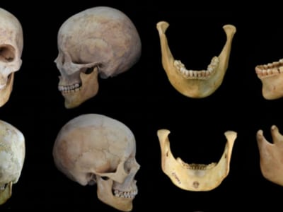 Penemuan Gigi Berwarna Merah Beracun Wanita Kuno di Jalur Sutra China