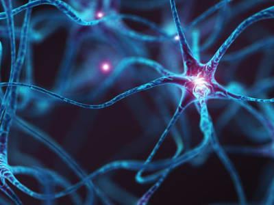 Cara Baru Ubah Sel Kulit Jadi Neuron Tanpa Lewat Stem Cell