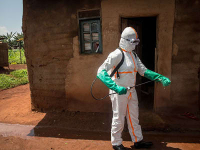 Penghentian USAID Hambat Penanganan Wabah Penyakit di Perbatasan Afrika Tengah