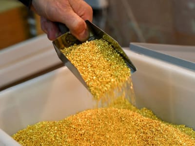 Emas Sentuh Rekor Baru, Tarik Minat Investor di Tengah Ketegangan Dagang Global