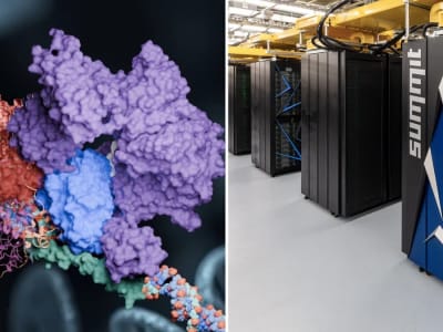 Mengungkap Rahasia Perbaikan DNA dengan Superkomputer untuk Cegah Penyakit Genetik