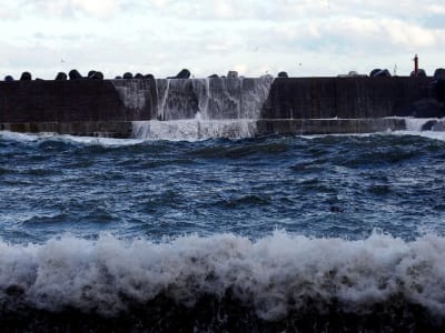 Pengalaman Mengharukan Korban Tsunami Jepang 2011 dan Dampak Nuklir Fukushima