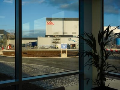 Dampak Ancaman Tarif AS Terhadap Ekonomi Irlandia dan Diplomasi Kritisnya