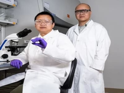 Penemuan Mekanisme ADAR1 Buka Jalan Terapi Baru Autoimun dan Kanker