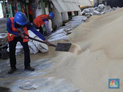 Pemerintah Impor 200 Ribu Ton Gula untuk Jaga Stok dan Harga Pangan