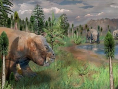 Riset Ungkap Gurun Tiongkok Jadi Oase Tumbuhan Saat Kepunahan Massal 252 Juta Tahun Lalu