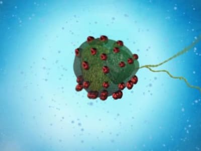 Microrobot Berbasis Mikroalga Berlapis Magnet untuk Pengiriman Obat Presisi