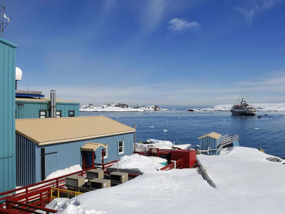 Pemotongan Dana Program Antartika AS Bisa Hancurkan Kepemimpinan Ilmiah dan Geopolitik
