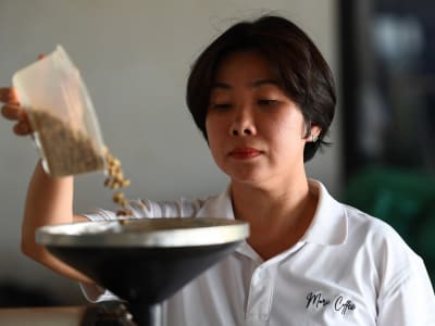 Harga Kopi Arabica Naik Tajam, Industri Kopi Dunia Tertekan Berat