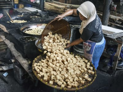 China Balas Tarif AS, Gantung Lisensi Impor Kedelai dan Kayu US