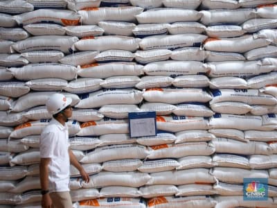 Bulog Jelaskan Penanganan Beras Impor Berkutu di Gudang Penyimpanan