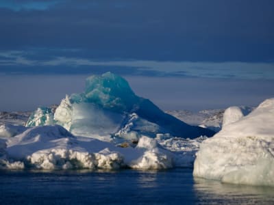 Rekor Suhu Global 2024 Mempercepat Dampak Perubahan Iklim dan Pencairan Es Kutub